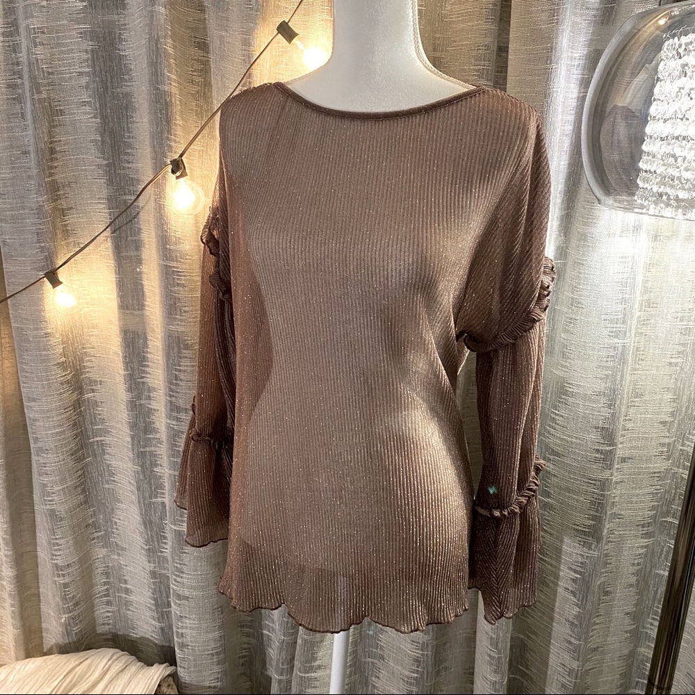 EUC Sheer, ruffle, bell sleeve top